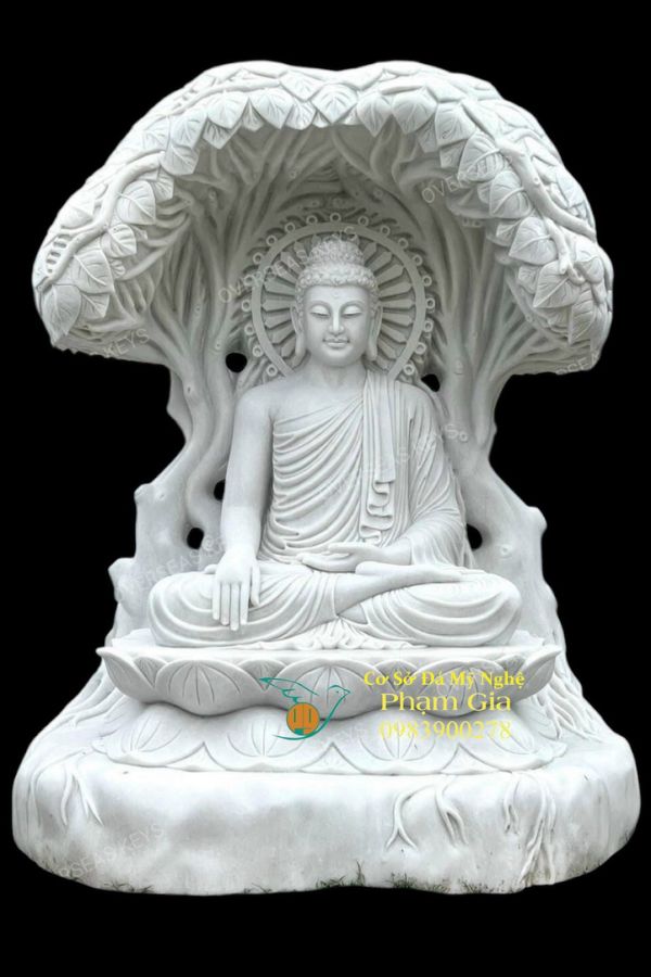 mau-tbstc-72-tuongmynghe