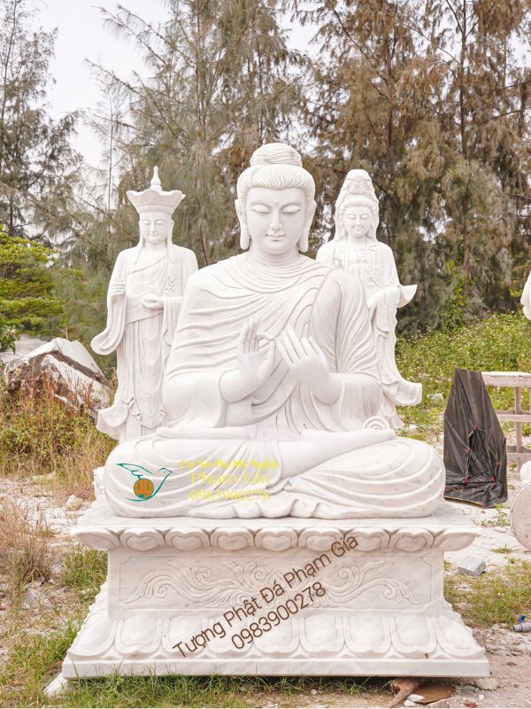 mau-tbstc-77-dieu-khac-pham-gia