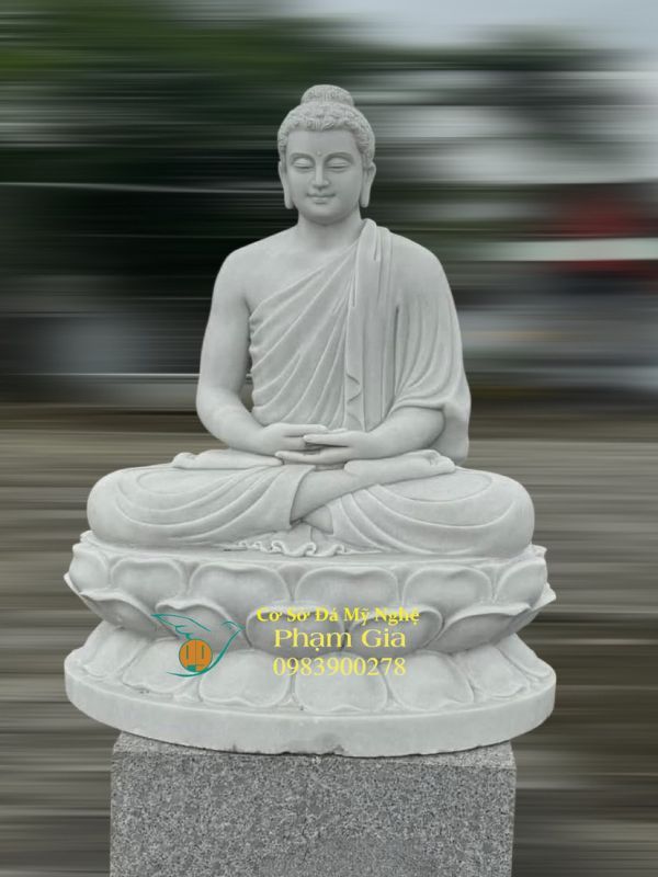 mau-tbstc-81-dieu-khac-pham-gia